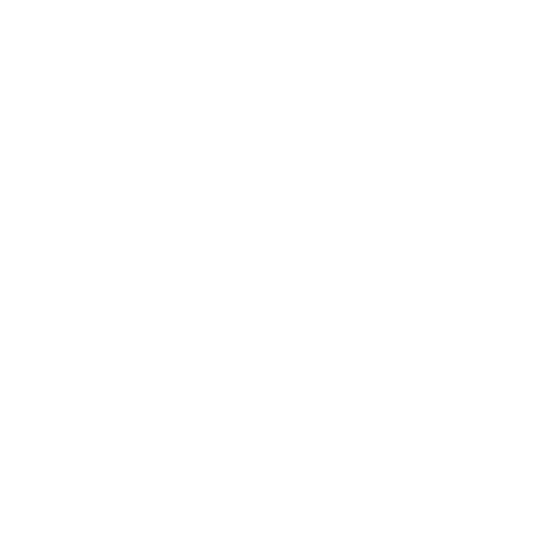 Static Unarmed/ Armed Guards