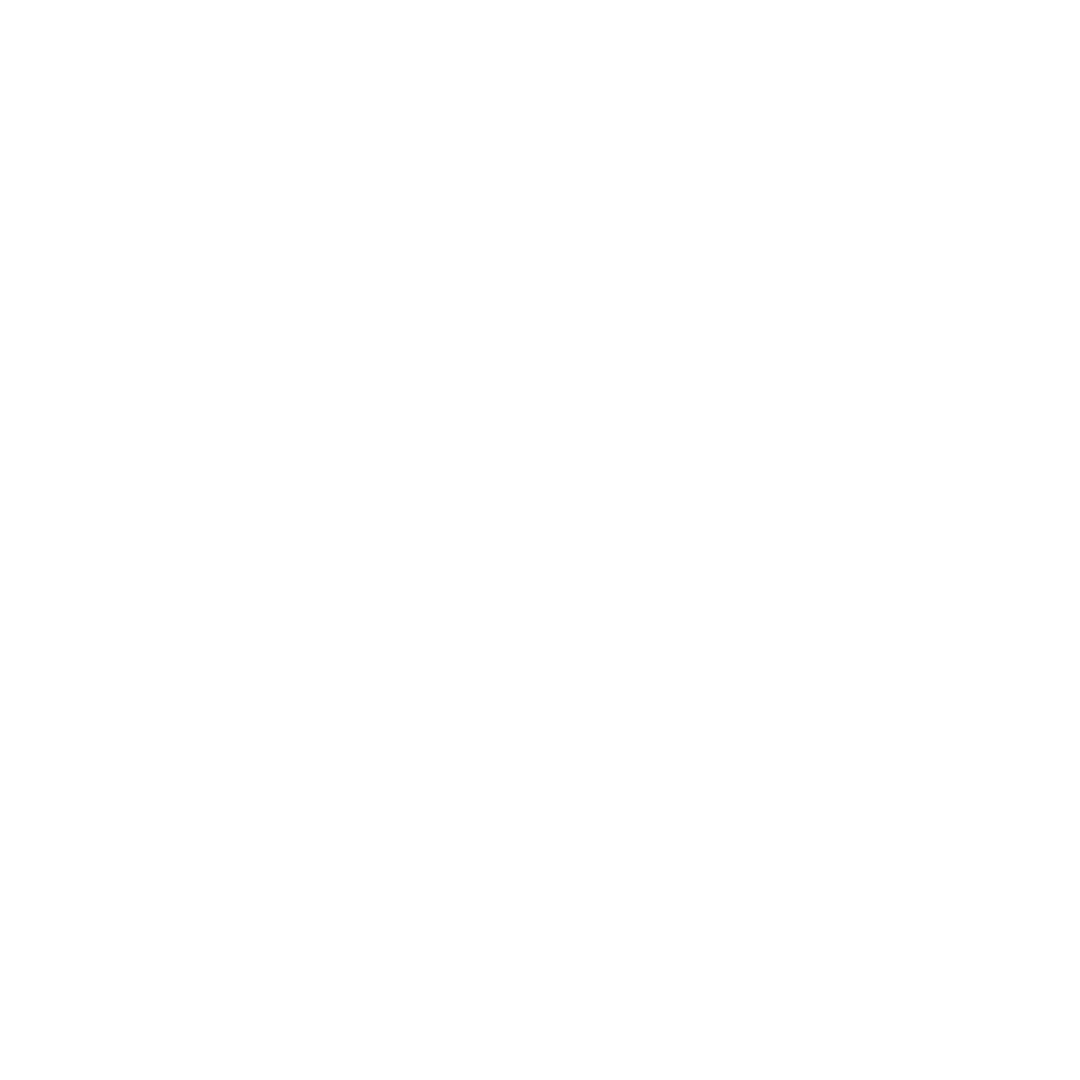 Security Survey and Consultant